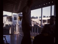 Coops trailer deck